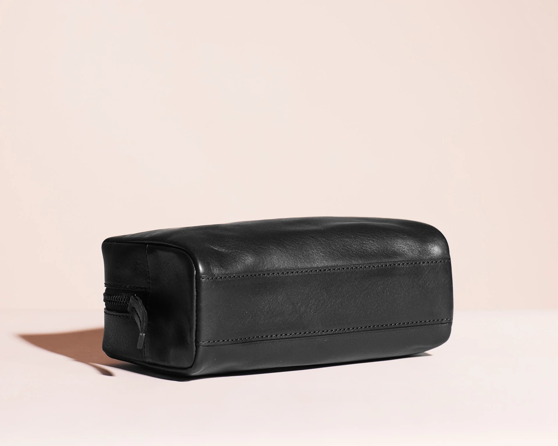Travel Case alternate view